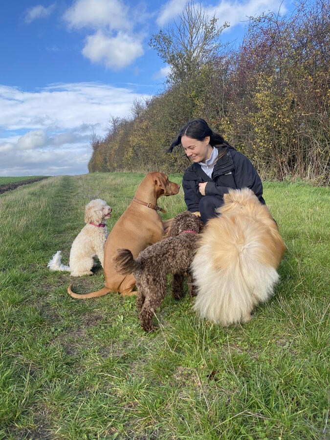 Treats on the Group Walk in Southcott Group Dog Walk, Southcott, Leighton Buzzard